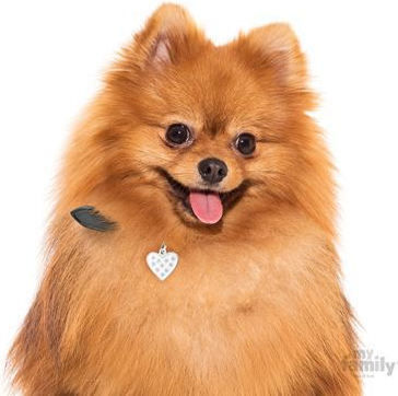 My Family Chic Hundemarke Herz Silber Metall 2.8x2.5cm