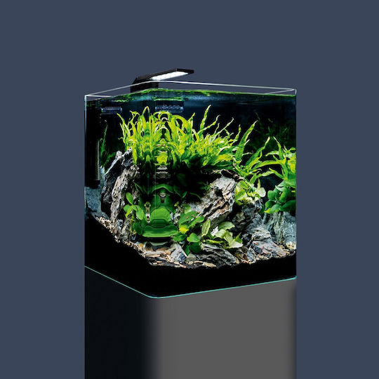 Dennerle Nanocube Basic 30 Fish Aquarium Capacity 30lt with Lighting, Filter and 30x30x35cm Black