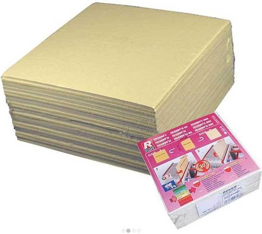 Rover Pompe 29031 Replacement Filter Papers