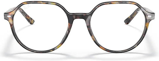 Ray Ban Thalia Acetate Frame Brown Tortoise RB5395 8173