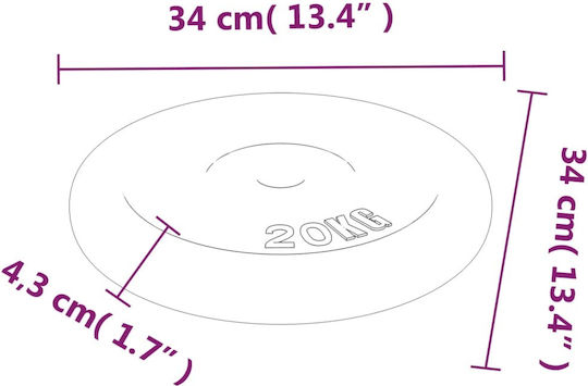 vidaXL Δίσκος Μεταλλικός 1 x 20kg Φ30mm