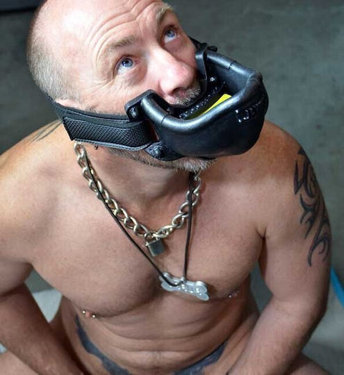 Oxballs Urinal Gag Knebel in Schwarz Farbe