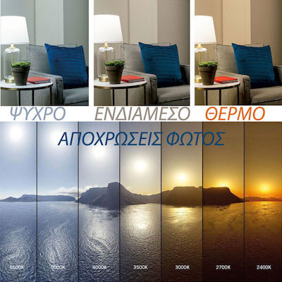 Eurolamp Λάμπα LED για Ντουί E27 και Σχήμα G45 Φυσικό Λευκό 400lm