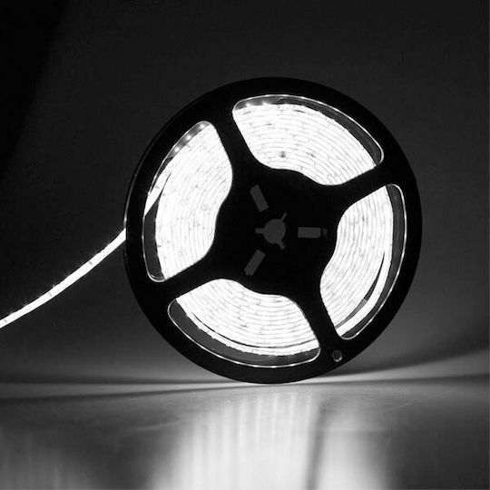 Atman LED Strip 12V Natural White Light 5m Type SMD3528