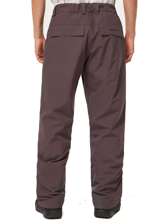 Oakley Best Cedar Rc Insulated FOA403445-24J Pantaloni de schi și snowboard pentru bărbați Ski & Snowboard Gri