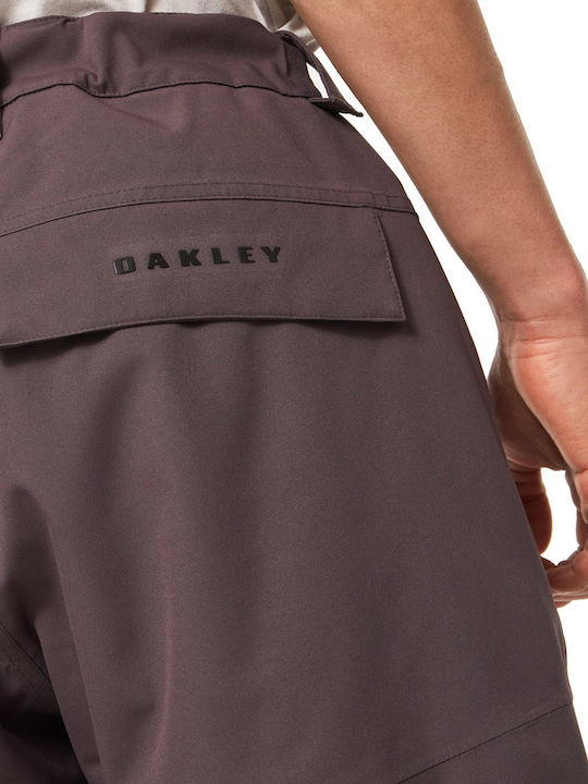 Oakley Best Cedar Rc Insulated FOA403445-24J Pantaloni de schi și snowboard pentru bărbați Ski & Snowboard Gri