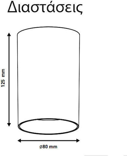 Eurolamp Single Spot with Socket GU10 in White Color