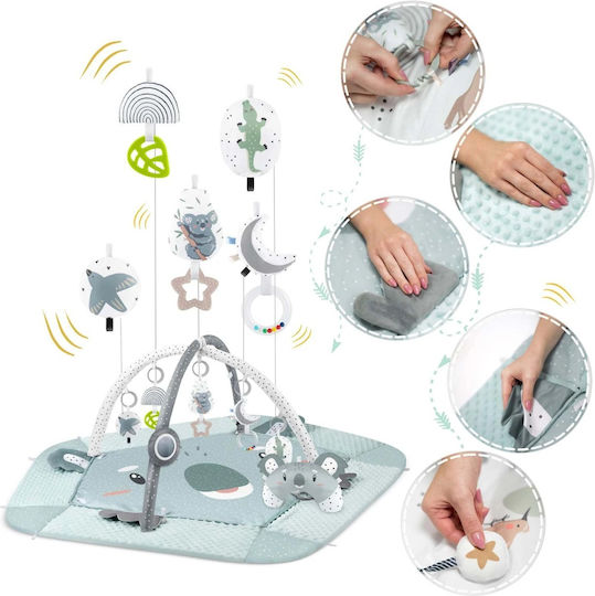 Go Clever Koala Nukido Activity Gym for Newborns