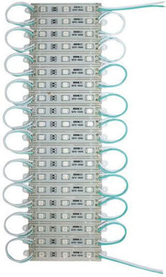 Eurolamp LED Module 12V 0.72W Πράσινο