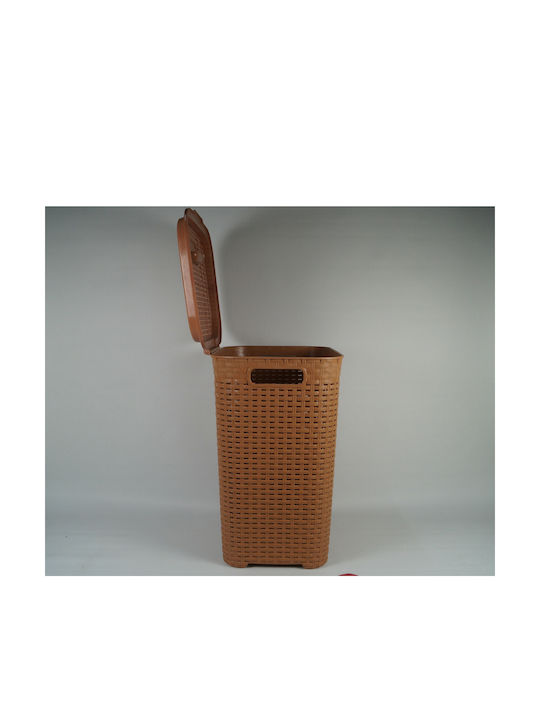 Violet House Rattan Wäschekorb Kunststoff 45lt mit Deckel 40x33x49cm Beige