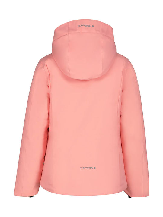 Icepeak Icepeak