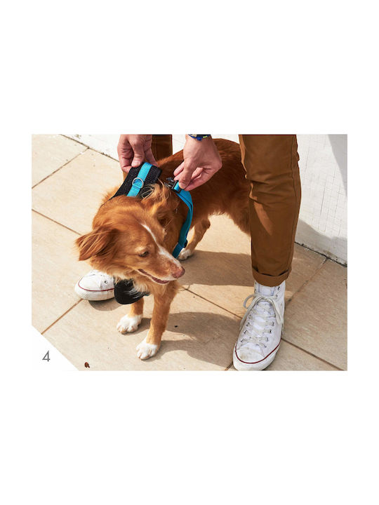 Zee-Dog Ham pentru câini Vestă Air Mesh Ham pentru câini Roz X-Small 24751