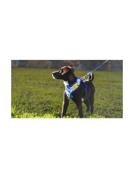 Dashi Dog Harness Vest Nebula Neo Mesh Blue X-Large 75-107cm DNM00110