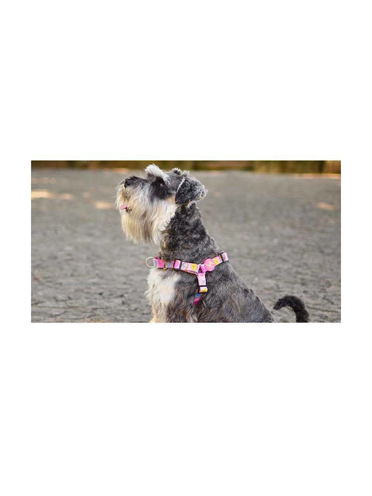 Dashi Dog Harness Training Donut Pink Medium DFH035