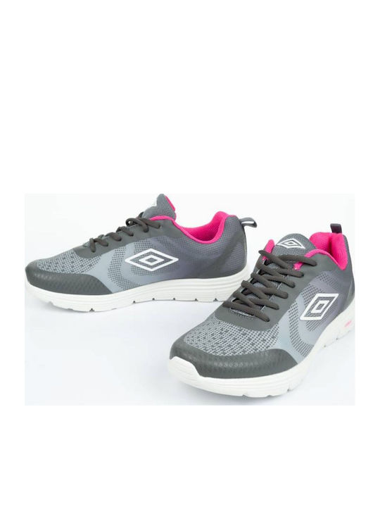 Sneakers Gray