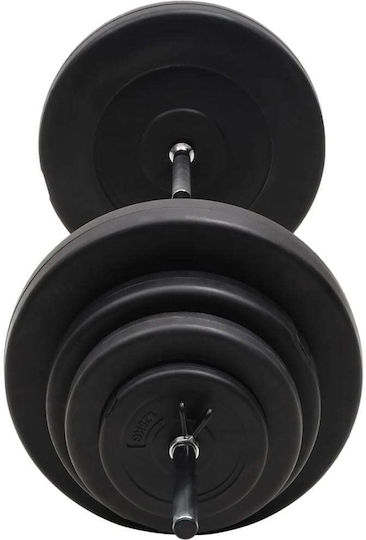 vidaXL Φ25mm Set with Weights 60kg Length 140cm with Collars