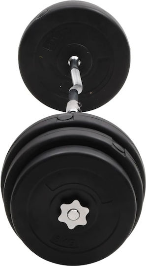 vidaXL ​Στραβόμπαρα Φ25mm Σετ με Βάρη 90kg Μήκους 120cm με Βιδωτά Κολάρα