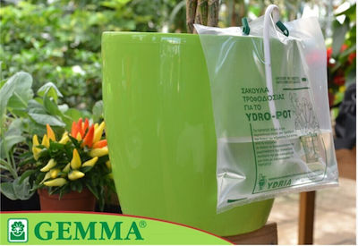 Gemma Tropfbewässerungsdüse mit Behälter 5Stück