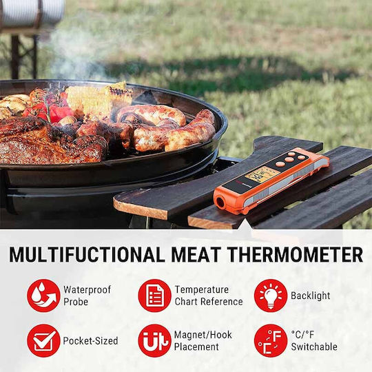 TempPro Digital Thermometer Kochen mit Nadel -50°C / +300°C