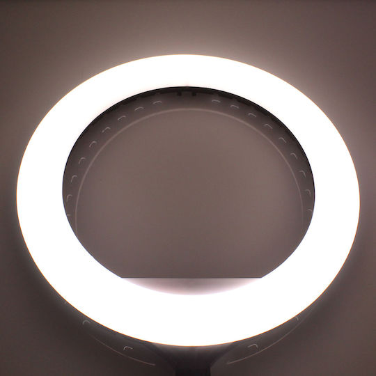 Ringlicht 36cm 3000 - 6000K mit Stativ Boden und Halterung für Handy