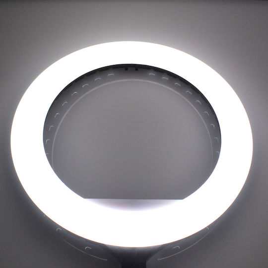 Ringlicht 36cm 3000 - 6000K mit Stativ Boden und Halterung für Handy