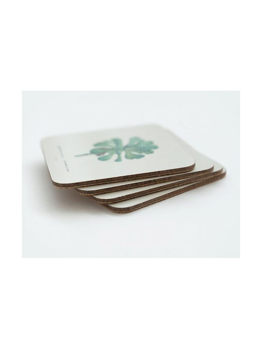 Grupo Erik Botanical Cacti by Kokonote Σουβέρ από Φελλό Πολύχρωμο 9x9cm 4τμχ Grupo Erik Botanical Cacti by Kokonote Σουβέρ από Φελλό Πολύχρωμο 9x9cm 4τμχ