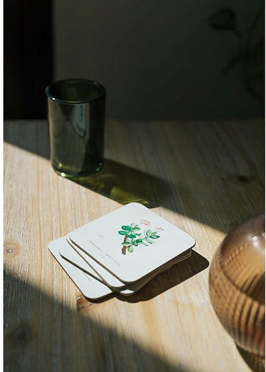 Grupo Erik Botanical Cacti by Kokonote Σουβέρ από Φελλό Πολύχρωμο 9x9cm 4τμχ