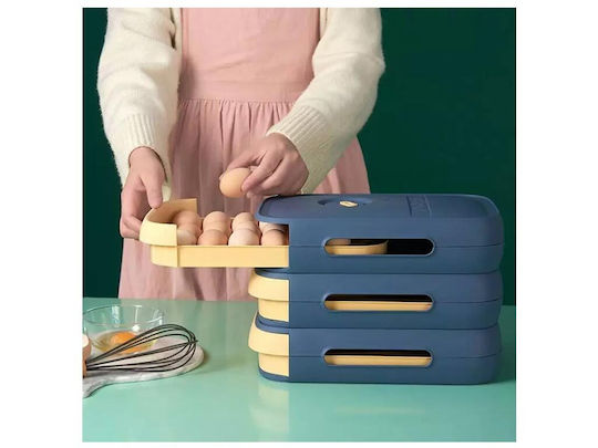 Suport Pentru Ouă Frigider Pentru 12 Ouă 28x21x8cm