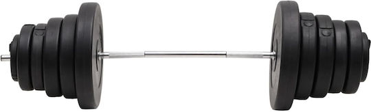 vidaXL Straight Bar Φ25mm 2kg Length 140cm without Collars
