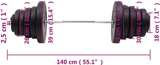vidaXL Straight Bar Φ25mm 2kg Length 140cm without Collars