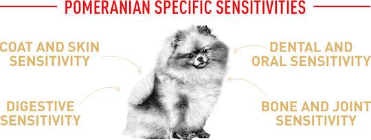 Royal Canin Pomeranian Adult 1.5kg Dry Food Gluten-Free for Adult Small Breed Dogs with Vegetables, Poultry and Rice