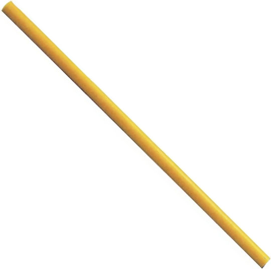 AMILA Slalom Pole In Orange Colour