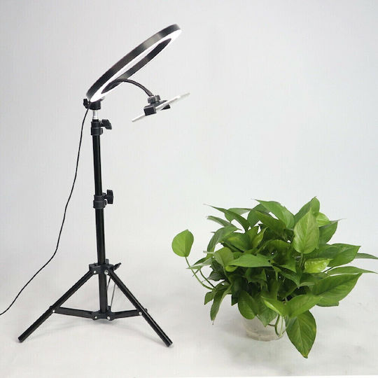 Ringlicht 26cm mit Bodenstativ und Handyhalter