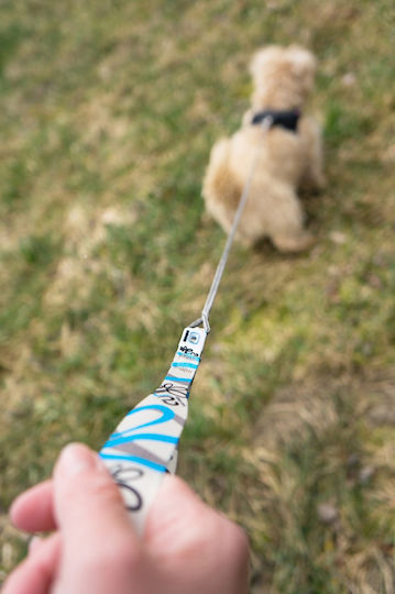 Curli Λουρί/Οδηγός Σκύλου Ιμάντας Ultra Strong Pocket Leash Small σε Ασημί χρώμα 1.1m