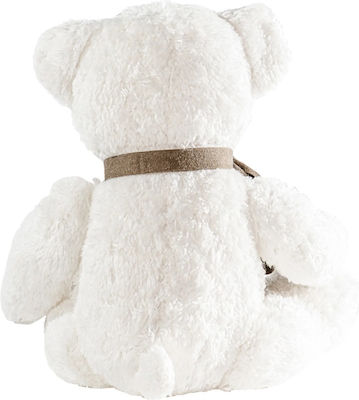 Maud N Lil Edward Organic Cotton Teddy Bear