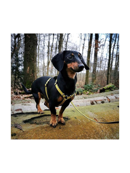 Max & Molly Нагръдник за куче Ruler Жълт Large 25мм x 70-98см MM0063