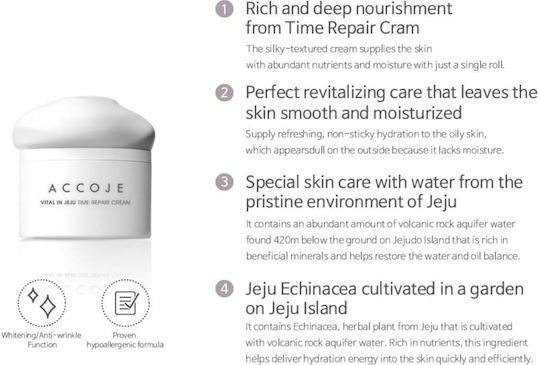 Accoje Vital In Jeju 24h Creme Gesicht 50ml