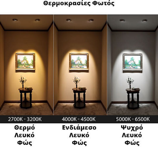 Geyer Rezistent la apă Proiector LED 10W Alb Cald 3000K IP65