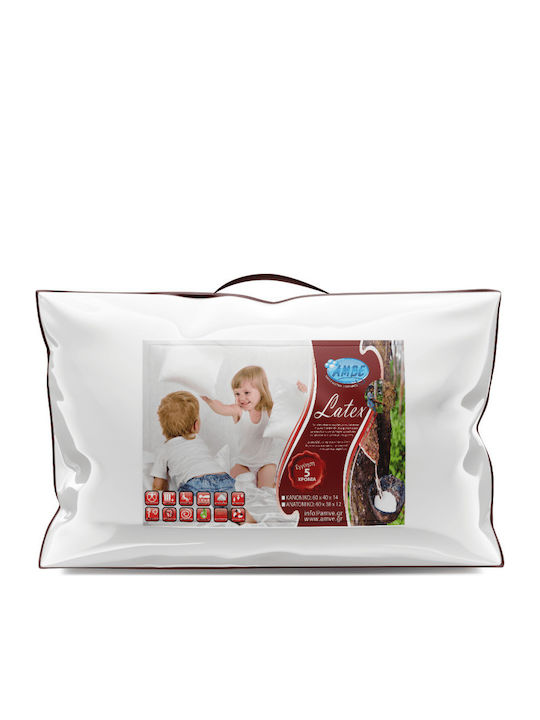 Amve 11640 Classic Μαξιλάρι Ύπνου Latex Ανατομικό 38x60x12cm