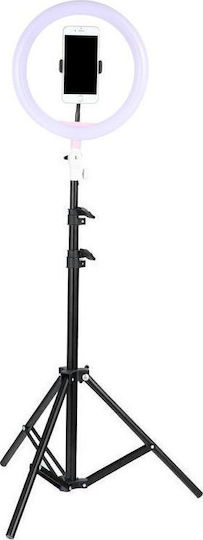 Ringlicht LED 30cm 2500 - 4500K mit Bodenstativ und Handyhalter