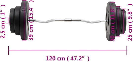 vidaXL ​Στραβόμπαρα Φ25mm Σετ με Βάρη 60kg Μήκους 120cm χωρίς Κολάρα