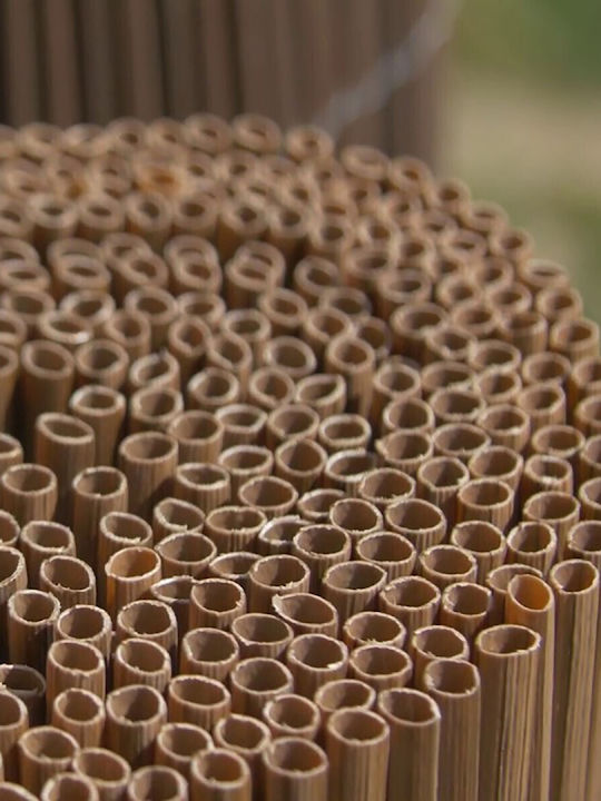 Nortene Premium Gard de Bambus Plastic cu Întregul Reed 1x3m