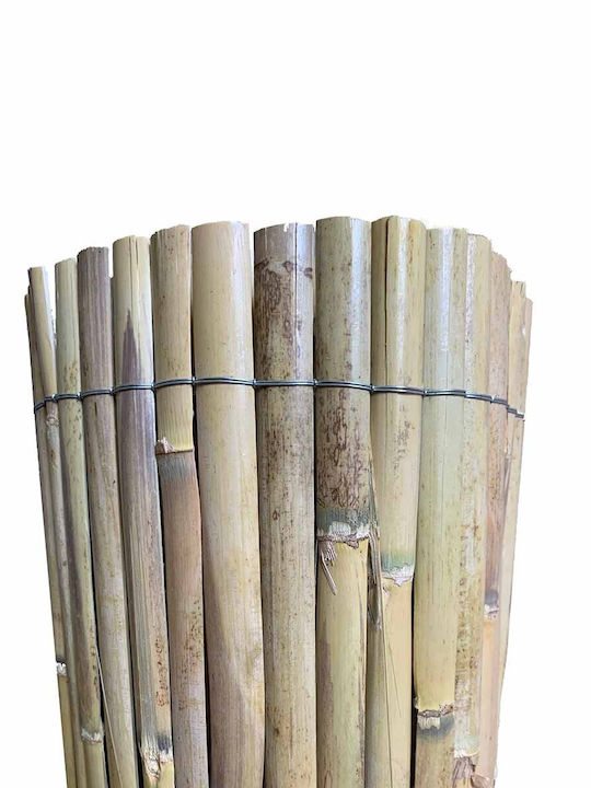 Showood Bamboo Fencing with Half Reed 1.5x5m