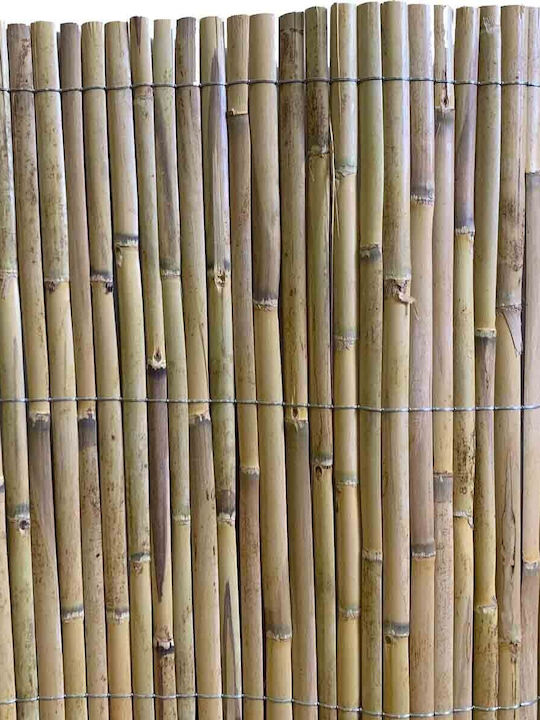 Showood Gard de Bambus cu Jumătate de trestie 1.5x5m
