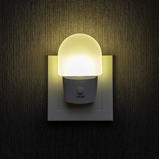 Reer LED Nachtlicht Steckdose mit Lichtsensor 1Stück