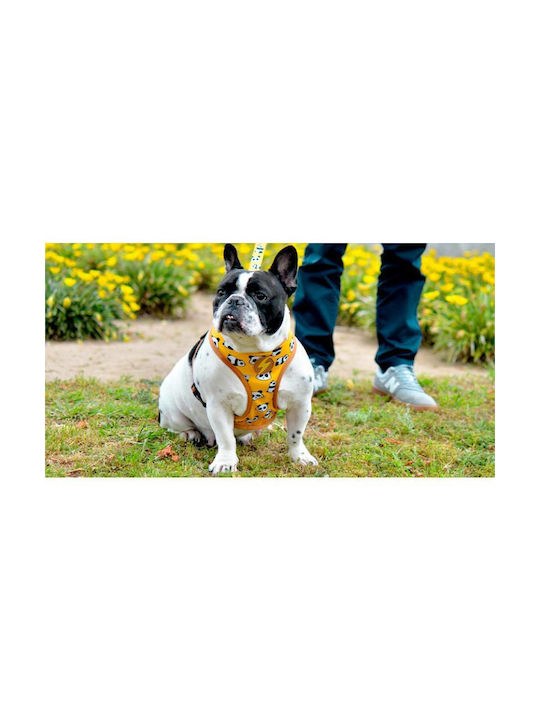 Dashi Dog Harness Vest Snooze Neo Mesh X-Small 30-36cm DNM00035