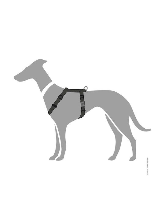 Hunter Ham pentru câini London Vario Rapid Negru Mediu 58-101cm 013521