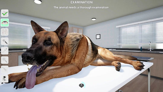 My Life: Pet Vet PS4 Game