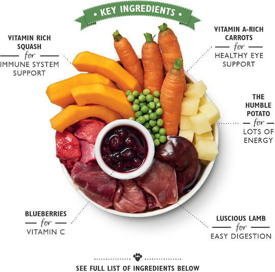 Lily's Kitchen Hotpot Wet Food Dogs in Cans with Lamb 400gr