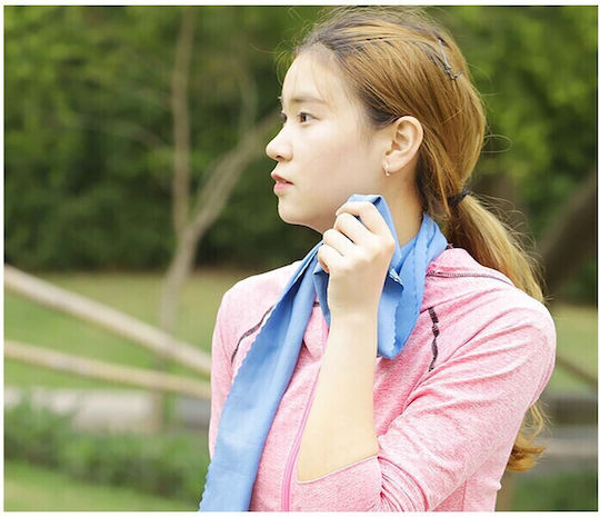 Alpin Pocket Microfiber Towel for Hair in Case Blue 90x32cm